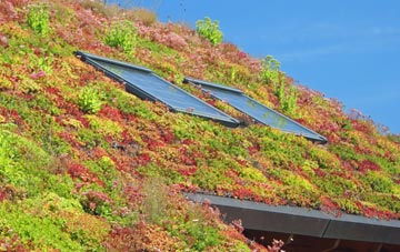Bwlch Y Ffridd living roof systems