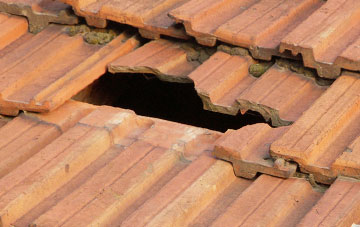 roof repair Bwlch Y Ffridd, Powys