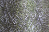 Bwlch Y Ffridd fibreglass roof work
